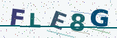 Security code image