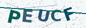 Security code image