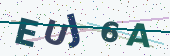 Security code image