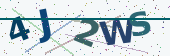 Security code image