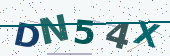 Security code image