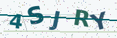Security code image