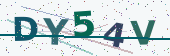 Security code image