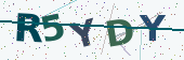 Security code image