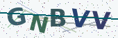 Security code image