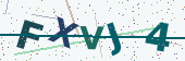 Security code image