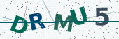 Security code image
