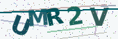 Security code image