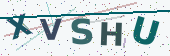 Security code image