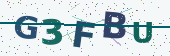 Security code image