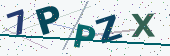 Security code image