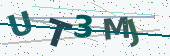 Security code image