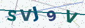 Security code image