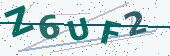 Security code image
