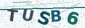 Security code image