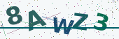 Security code image