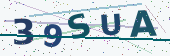 Security code image