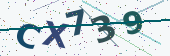 Security code image