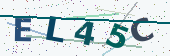 Security code image