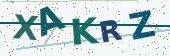 Security code image