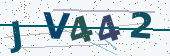 Security code image